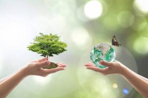 L’entretien du parc du Campus au service de la biodiversité…