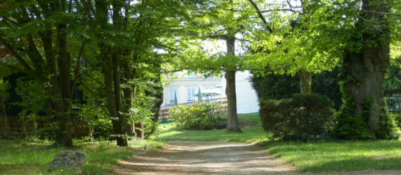 Les réunions en marchant