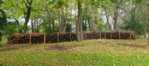 On vous donne des nouvelles de la haie sèche du parc du Campus Louveciennes by BNP Paribas…